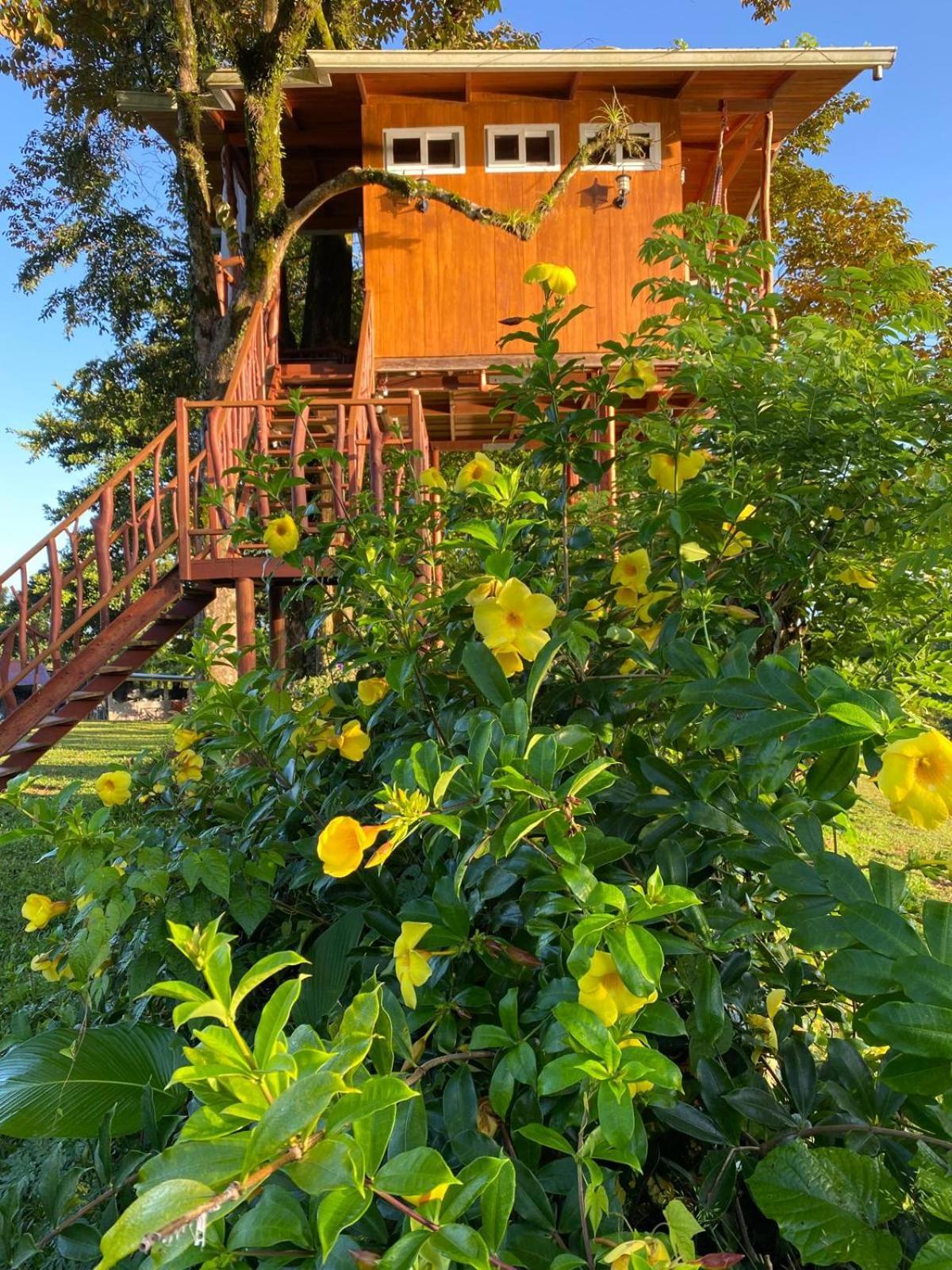 Hilamito Lodge Tela Extérieur photo